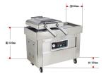 Double Chamber Vacuum Nitrogen Sealer For Food Fish DZ-500/2SB