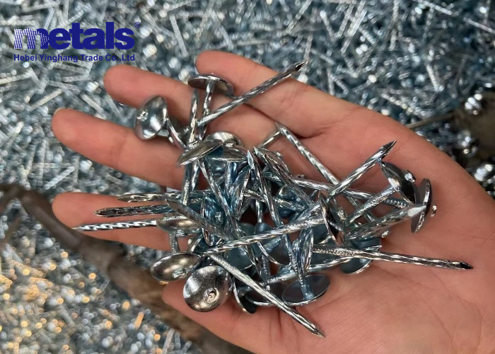 Galvanized Roofing Nails The Durable and Rust-Resistant Fastener for Construction