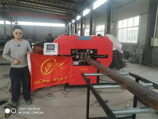 12mm Steel Plate Power Punching Cutting 380V Shearing Equipment