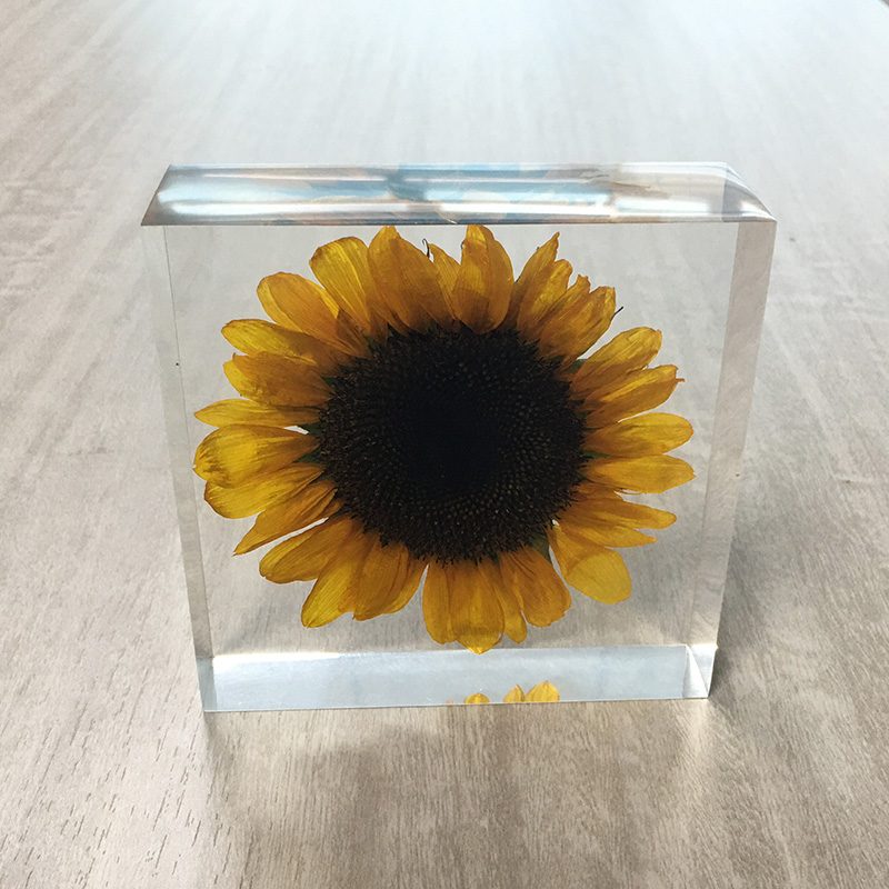 Cubic acrylic resin paper weight with insect and flowers inside acrylic paperweight