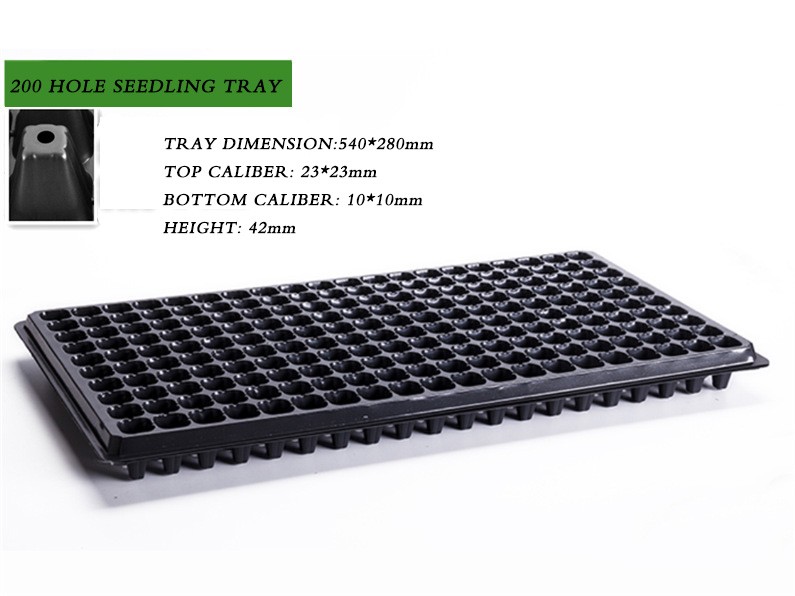 105 Holes Rectangular Polystyrene Seed Raising Tray Deep Cell Plug Trays 540X280mm