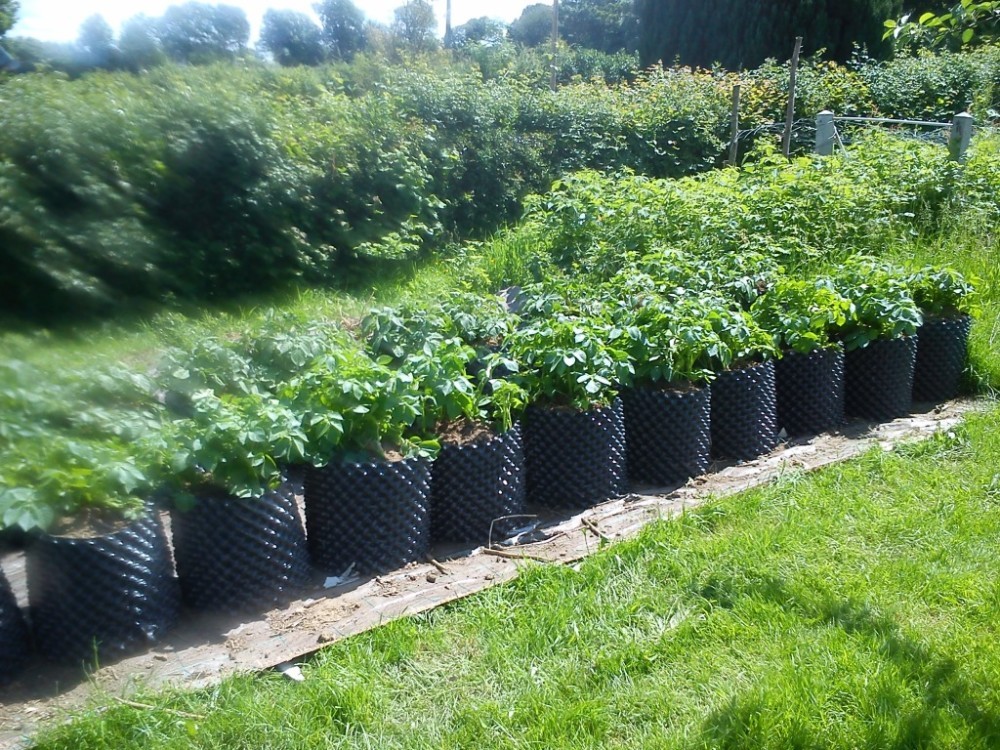 Aeration pot root nursery pot by all direction air-pruning design