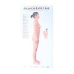 Human Body Meridian Acupuncture Culture Acupoint Acupressure Points Chart