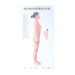China Human Body Meridian Acupuncture Culture Acupoint Acupressure Points Chart wholesale