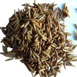 Brown High Protein Black Soldier Fly Powder