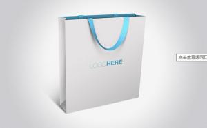 China Custom Luxury Gift Garment Paper Shopping Bags With Logo Print wholesale