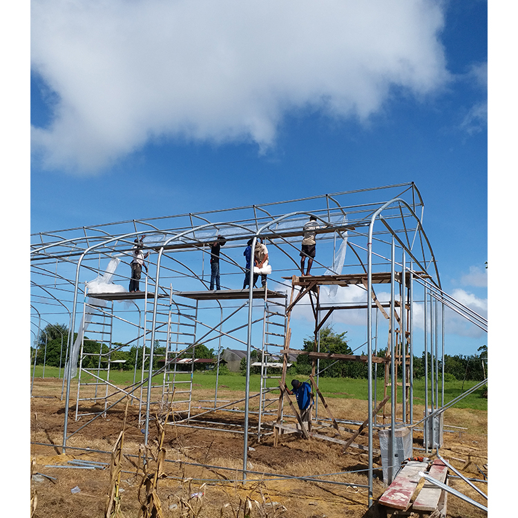 Umbrella Structure Agricultural Greenhouse 8m Height Wide Span Greenhouse