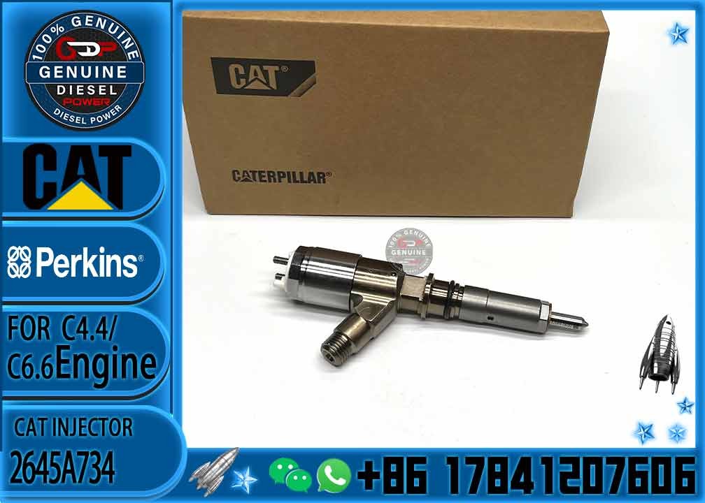 common rail injector 2645A746 2645A749 2645A747 10R-7671 10R-7672 2645A718 10R-7673 10R-7676 2645A734