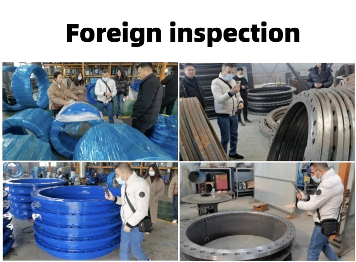 10" Double Flanged Dismantling Joint Carbon Steel Expansion Pipe Metal Expansion Joint