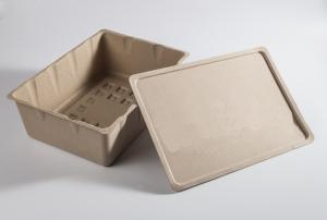 China 1.5mm Fiber Molded Packaging Sustainable Green Biodegradable Pulp Packaging wholesale