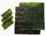 Halal Roasted Yaki Nori Seaweed 19cm*21cm