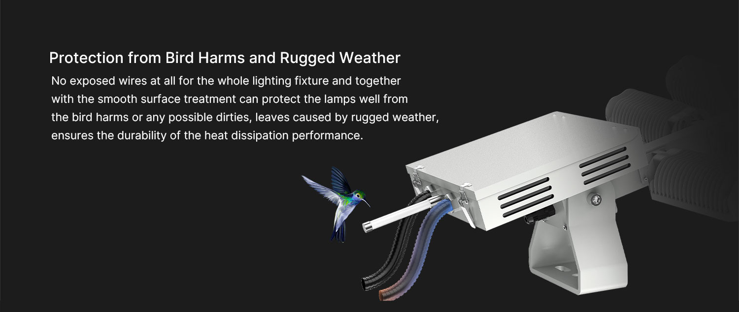 Stadium Outdoor LED Sports Lights