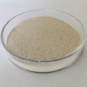 China Neutral Protease Industrial Fields Hydrolyze Proteins And Peptides wholesale