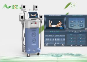 China Cryopolysis body slim fat freezing cryo cool tech slimming machine wholesale