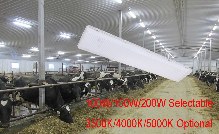 100W 3500K 4FT LED Vapor Tight Light Fixture with Transparent Polycarbonate Diffuser