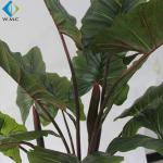 Taro Leaves Plastic Bonsai Plants , Nordic Style Fake Banana Tree R020022