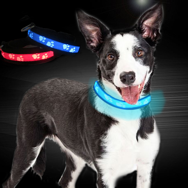 C903 Safety Nylon Webbing USB Rechargeable LED Pet Collar Leash Led Dog Collars in darkness