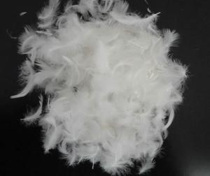 China Supply Down Materials wahsed Goose down， Duck down wholesale