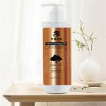 African Ethnic 450ml Beauty Hair Shampoo Restore Hair Color Naturally