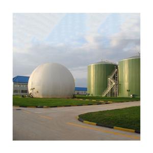 China Pig Manure Digester Tank Biogas Anaerobic Digester Capacity wholesale