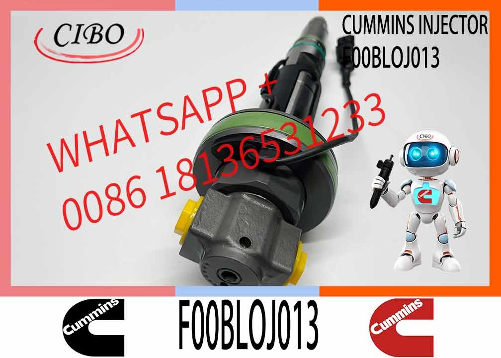 Common Rail Engine Accessories Diesel Injector 4964172 FOOBLOJ013 F00BLOJ013 FOR QSK38/50