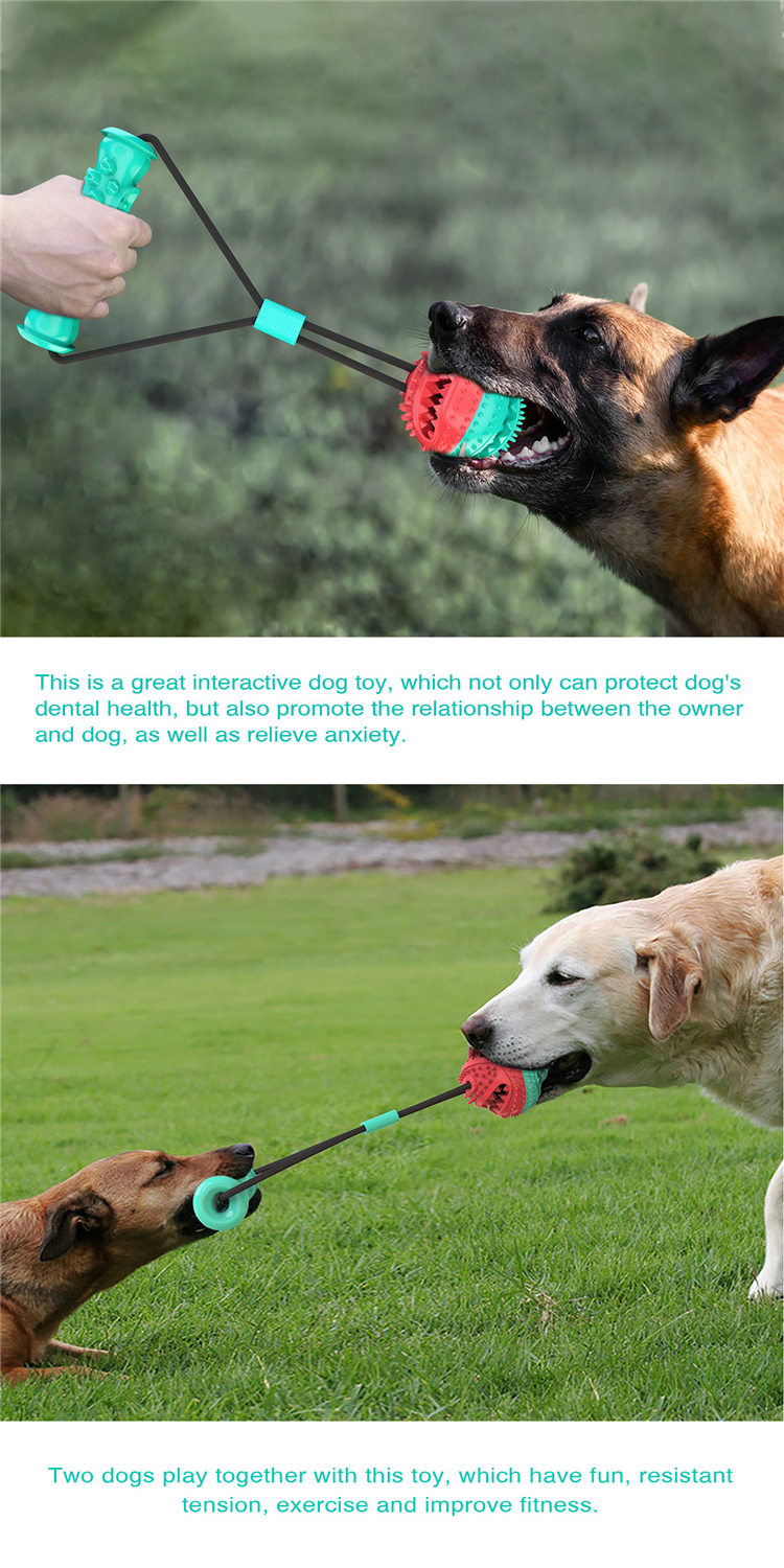 Wholesale Rubber Indestructible Treat Dispensing Ball Interactive Pet Ball Chew Dog Toy