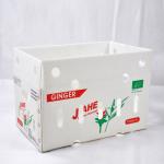 Corruone customize polypropylene box