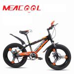 OEM 21speed Full Suspension Mountain Bike