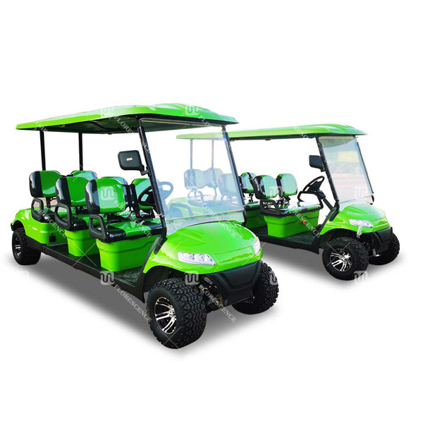 Outdoor Eight Person Beach Golf Cart Buggy Car Golf With 850kg 4kw CE Certification