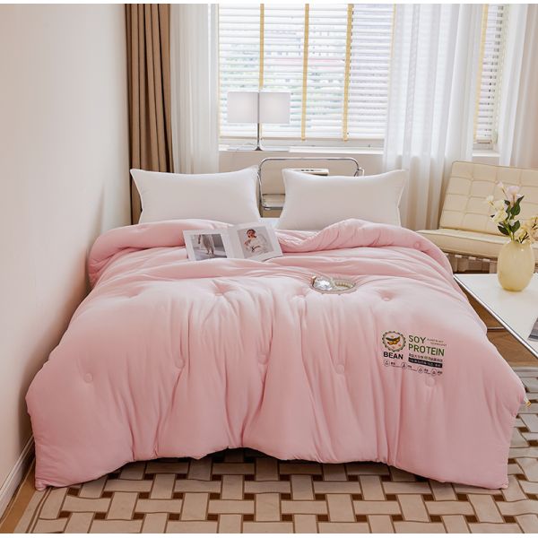 2024 Class A Customized Color Spring/Summer/Autumn/Winter Quilt for Hotel and Home