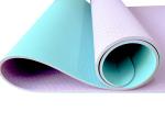 TPE Yoga Exercise Fitness Mats , High Density Non Slip Workout Mat