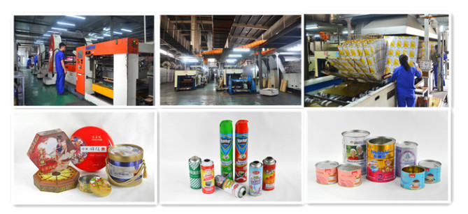 Electrolytic Tin Plate Coil for Food Grade Packaging SPTE TFS Printed Tin Sheet