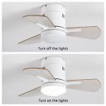 White 24 Inch Kitchen Ceiling Fans With Light Plywood Acrylic
