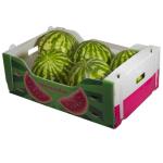 Fruit box by PP material composition of low price