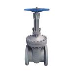 OBM Power Plant Valves WCB Carbon Steel Globe Valve Flanged 150LB 4 Inch