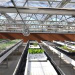 Heating System Serra Di Vetro Multi-Span Greenhouse Venlo Greenhouse Spare Parts