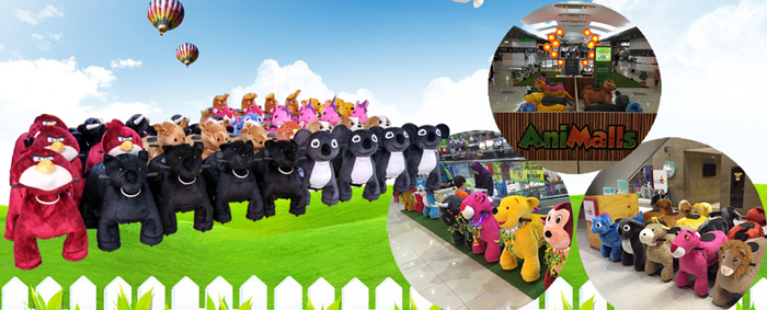 Banner animal rides 700.jpg