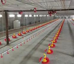 China Chicken Feeding Line 50-100 Chickens/hour ±2g Accuracy for Poultry Nutrition wholesale