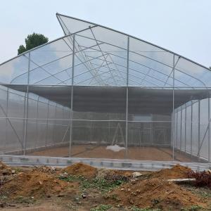 China OEM Hydroponic Tunnel Plastic Greenhouse Galvanizing Steel Farm Supply Greenhouse wholesale