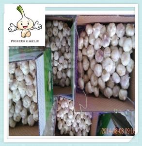 China hot sale new product fresh white garlic fresh white garlic 5cm garlic wholesale