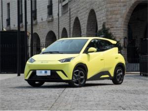 China Yellow Byd Seagull Hatchback Vehicle Automobile Pure Electric 5 Seat wholesale