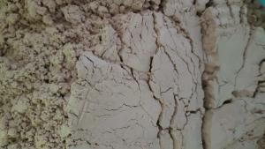 China Hysicochemical Feed Raw Material Chicken Plasma Protein Moisture 8% wholesale