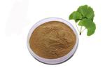 Food Grade Nutritional Brown Ginkgo Biloba Leaf Extract Powder