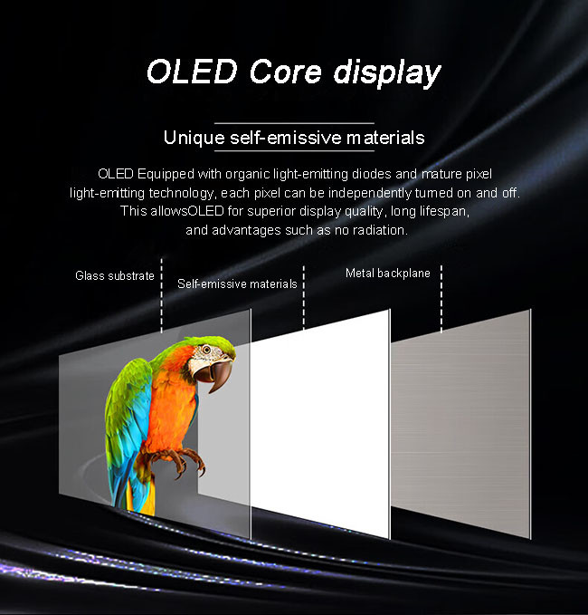 Educational Use Transparent OLED Screen High Brightness Clear OLED Display