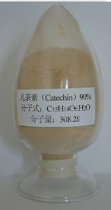 China 100% natural Crude Epicatechin 90% from green tea extract wholesale