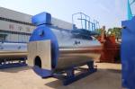 Automatic Horizontal Oil Lpg Gas Fired Condensing Steam Boiler for Food
