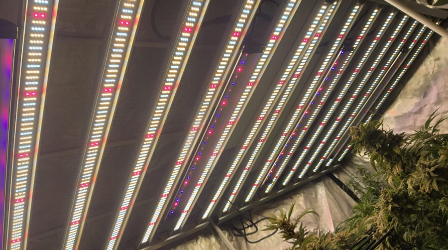 Supplemental 30W UV 365nm 385nm 395nm lED grow light bar For Flowering Stage THC Enhancement
