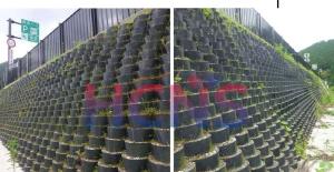 China 75mm Plastic Gravel Stabilizer Geocell Ground Grid Driveway wholesale