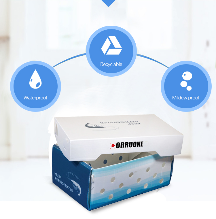 Corruone PP polypropylene 5 KG & 10 KG Custom Waterproof Frozen Meat or Seafood Packaging Boxes Corrugated plastic seafood box