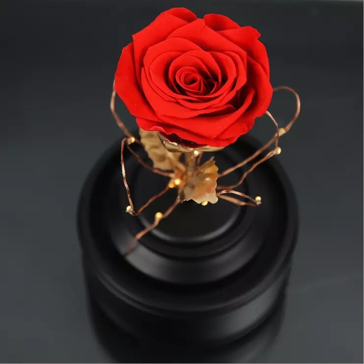 High quality long lsting preserved rose in glass with lid light